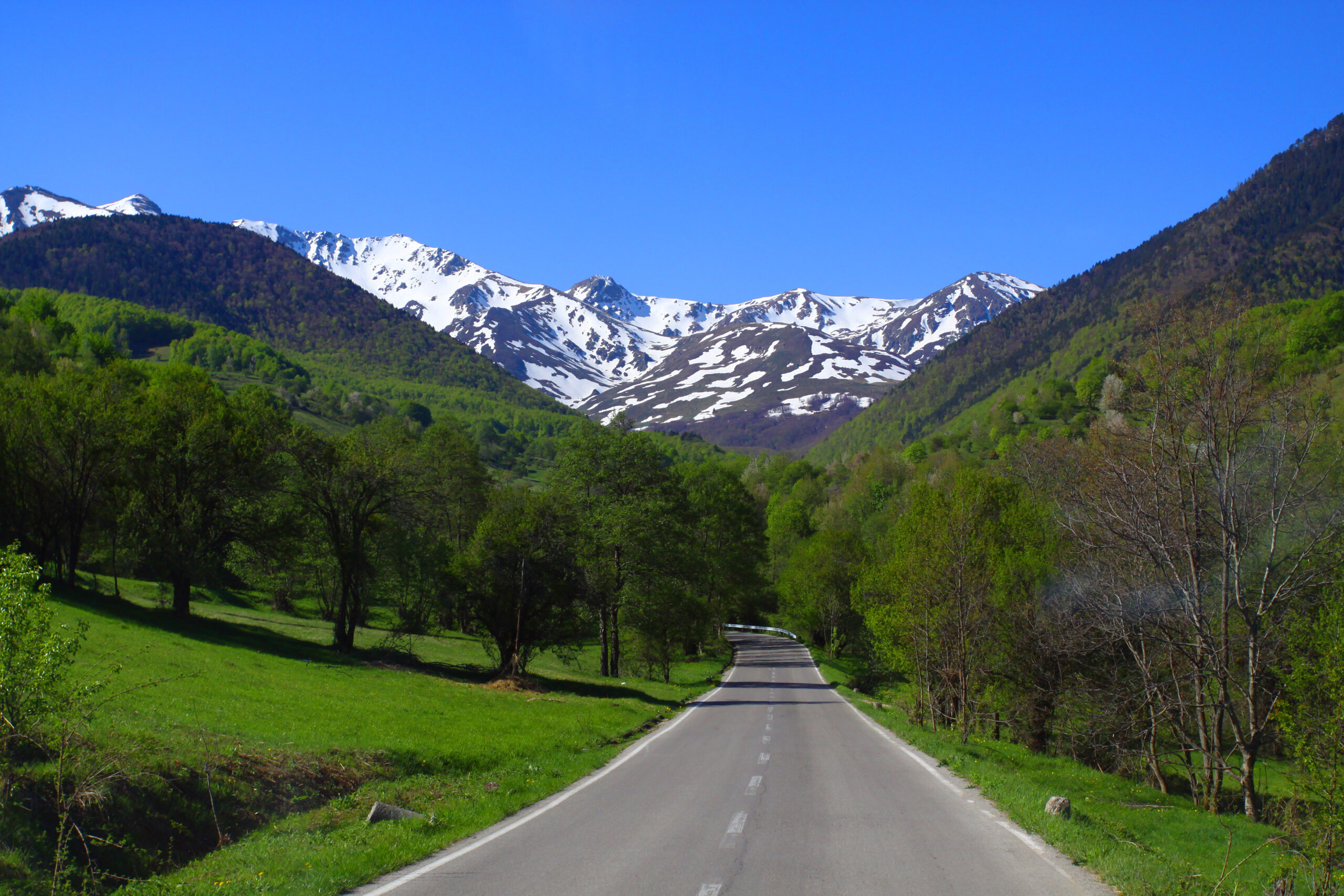 To_Prevalla To_Prevalla