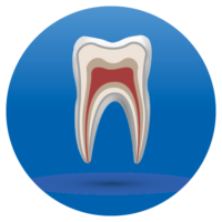 Endodon-01 Endodontics